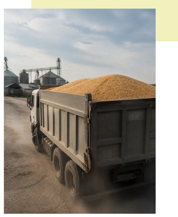 Перевозка сельхозпродукции навалом в Чебоксары по цене от 3085 р. | Агросервис-Чбк